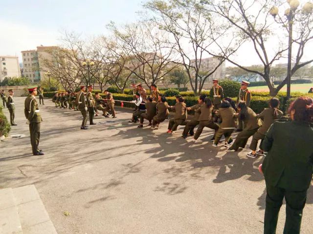 大连职业技术线上买球